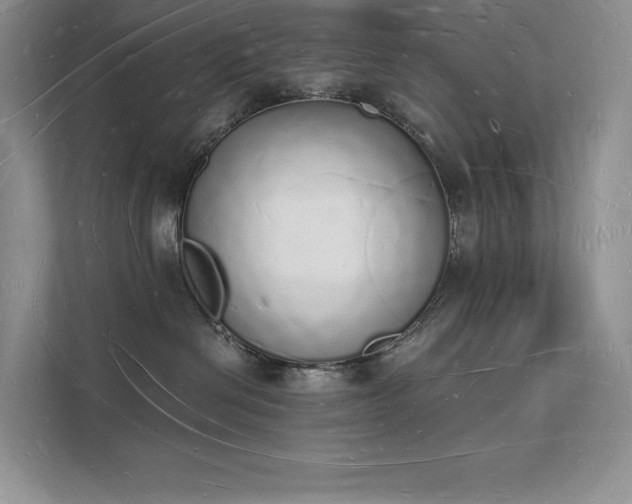 X0000112140286200908071102