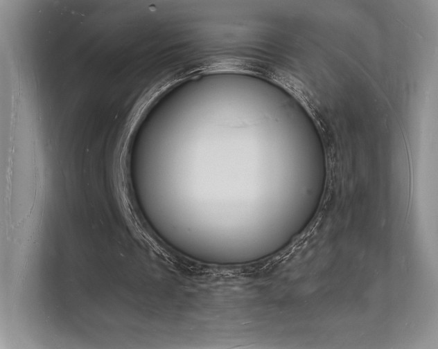 X0000112140289200908071101