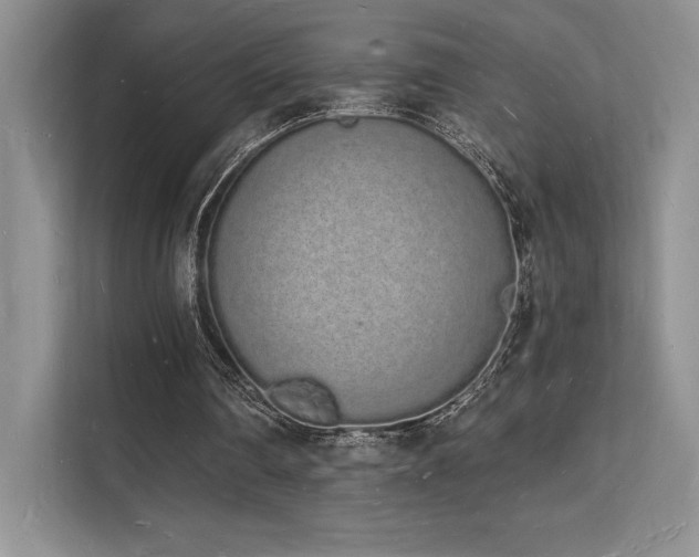 X0000112140290200908071101
