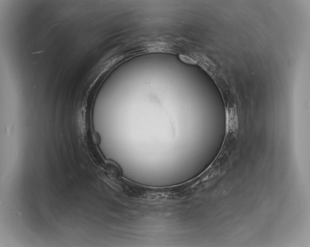 X0000112140291200908071101