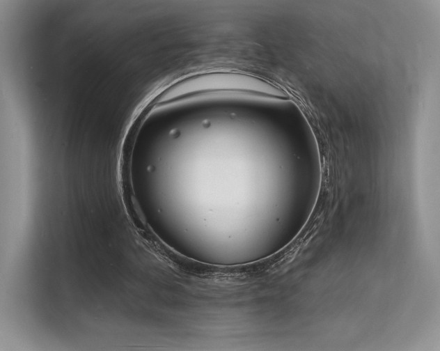 X0000112140292200908071101