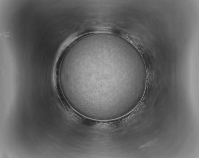 X0000112140294200908071101