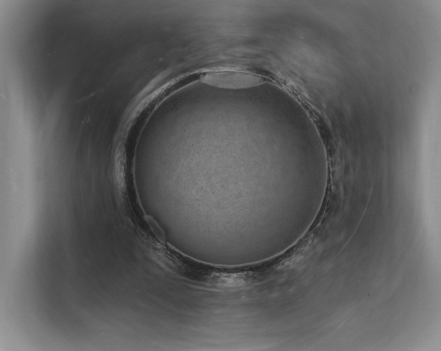 X0000112140295200908071101