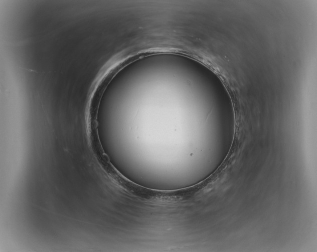 X0000112140296200908071101