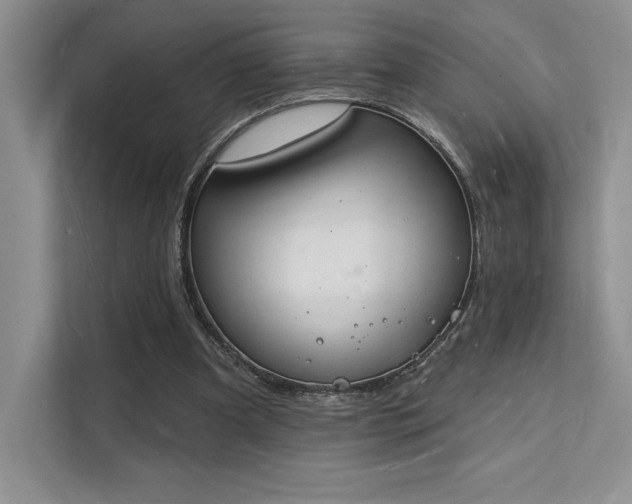 X0000112140297200908071101