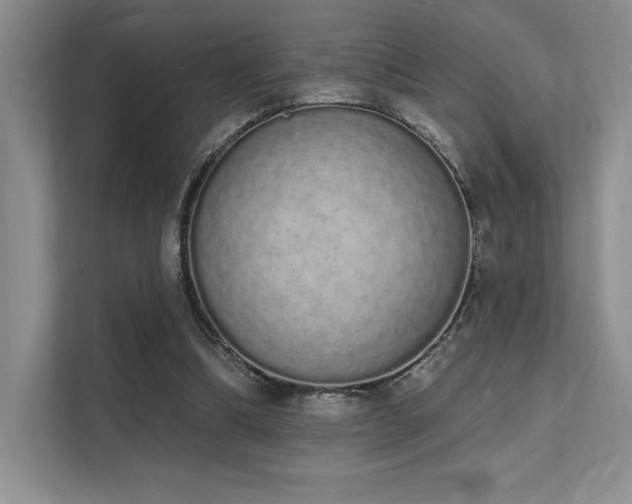 X0000112140298200908071101