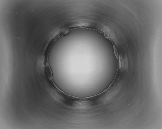 X0000112140300200908071101