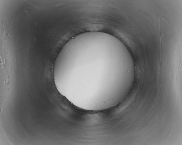X0000112140307200908071101