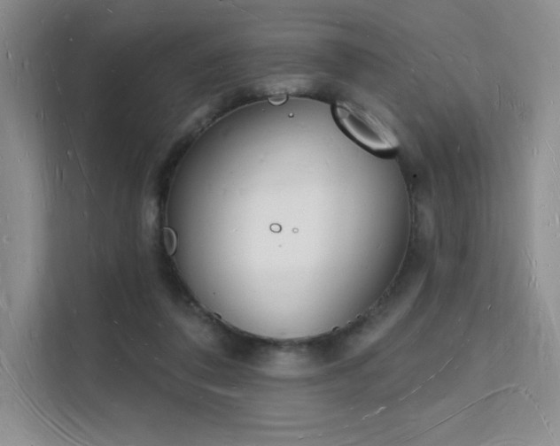 X0000112140308200908071101