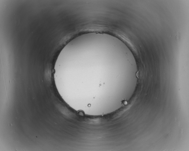 X0000112140309200908071101