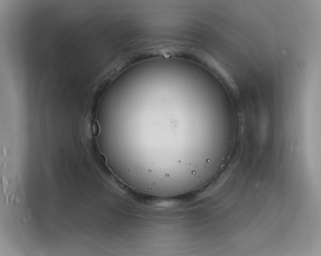 X0000112140313200908071101