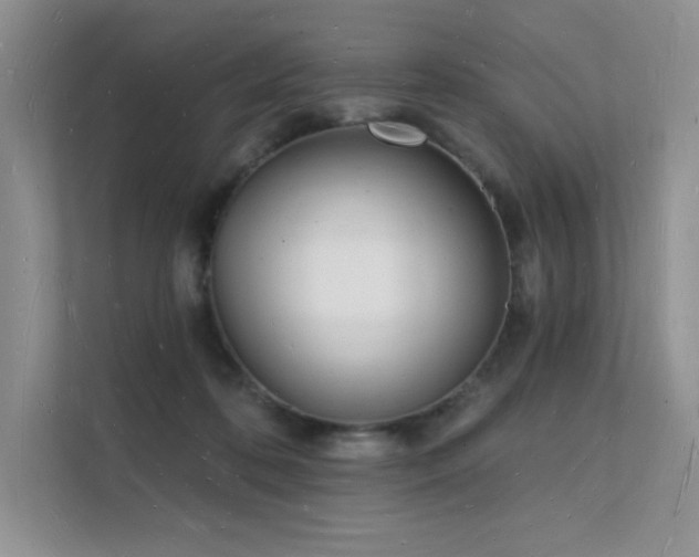 X0000112140316200908071101