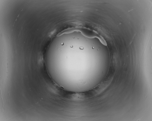 X0000112140320200908071101