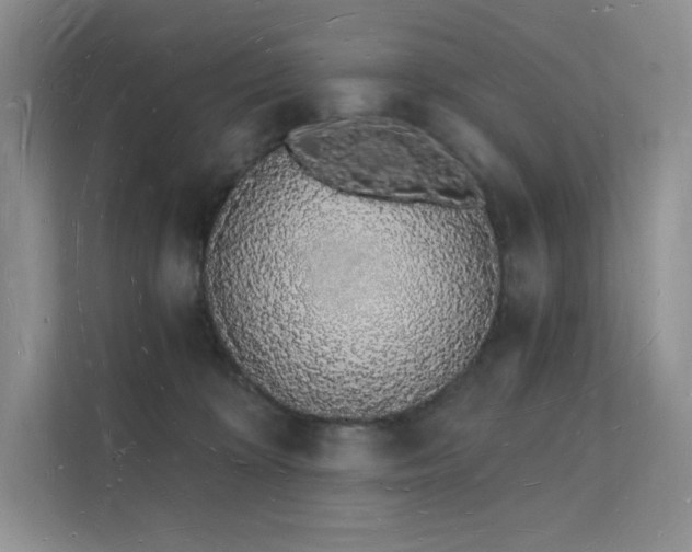 X0000112140324200908071101