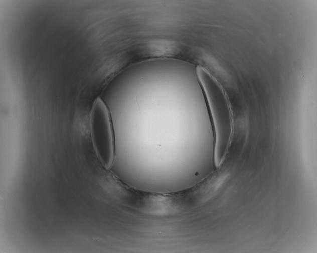 X0000112140325200908071101