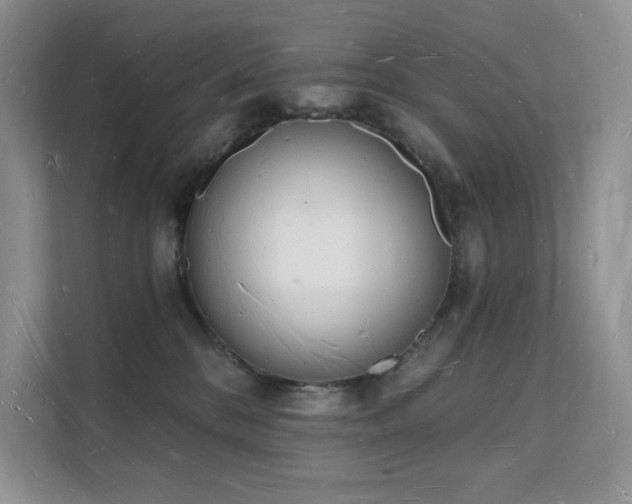 X0000112140328200908071101