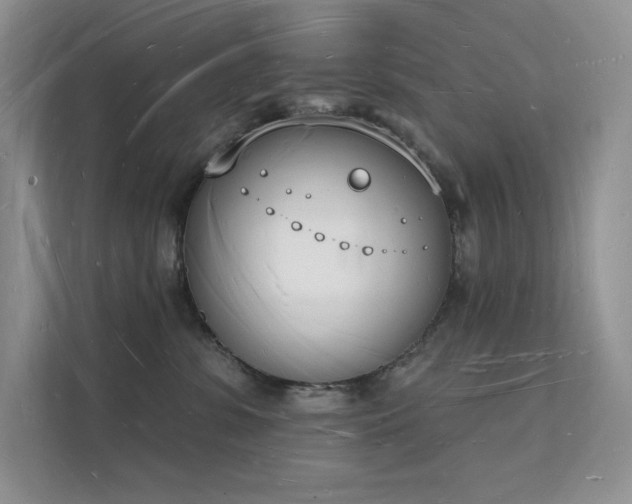 X0000112140331200908071101