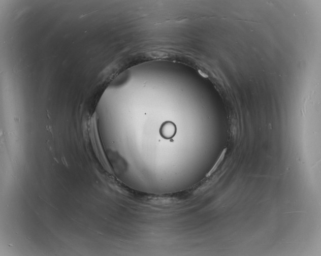 X0000112140332200908071101