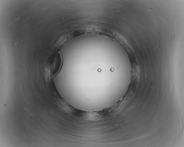 X0000112140333200908071101
