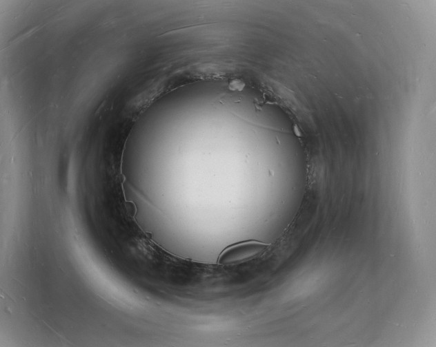 X0000112140335200908071101