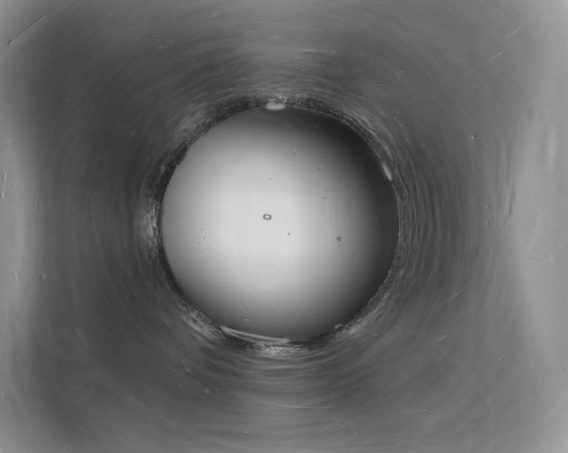 X0000112140336200908071101