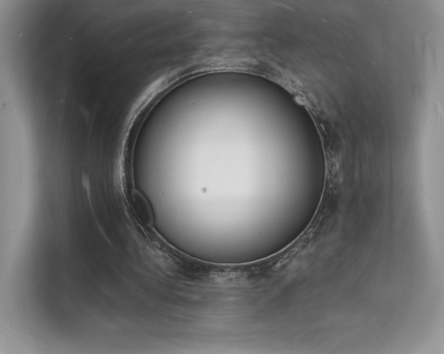 X0000112140340200908071100