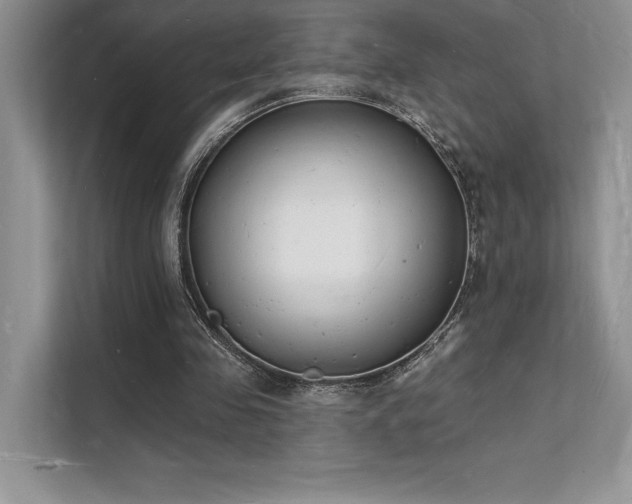 X0000112140341200908071100