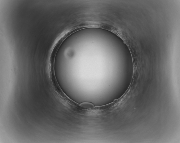 X0000112140342200908071100