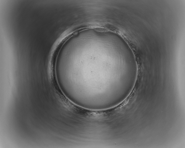 X0000112140343200908071100