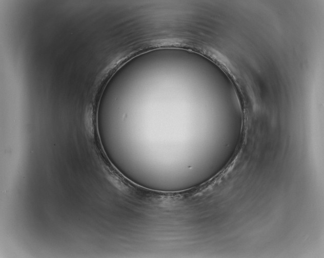 X0000112140345200908071100