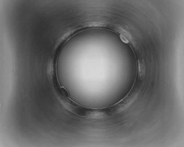 X0000112140348200908071100