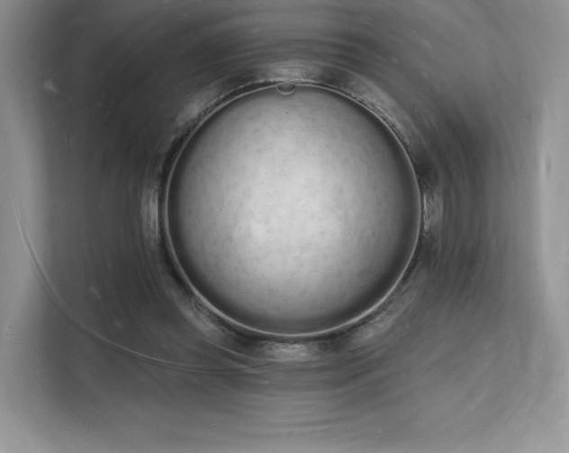 X0000112140349200908071100