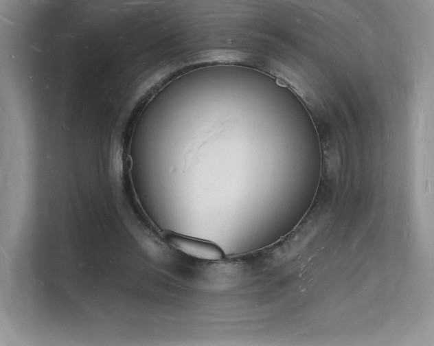 X0000112140350200908071100