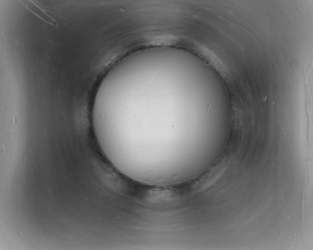 X0000112140354200908071100