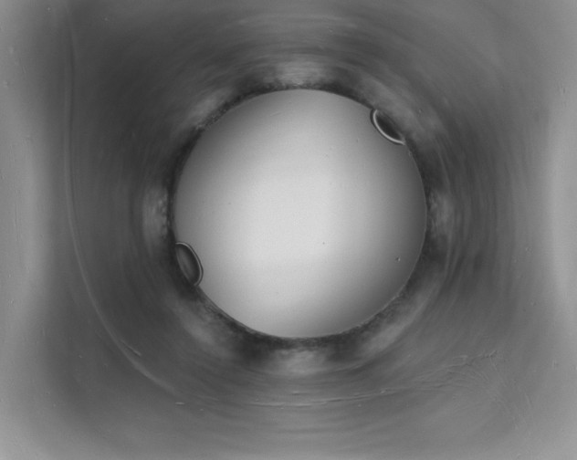 X0000112140356200908071100
