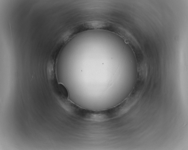 X0000112140360200908071100
