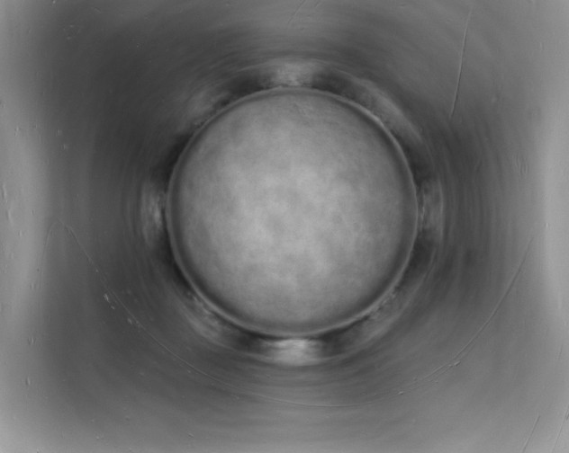 X0000112140363200908071100