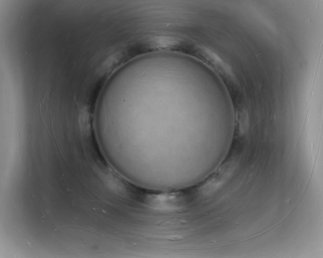 X0000112140366200908071100