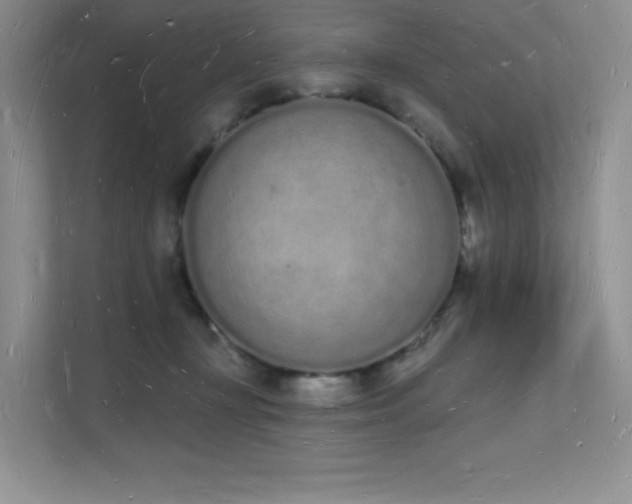 X0000112140367200908071100