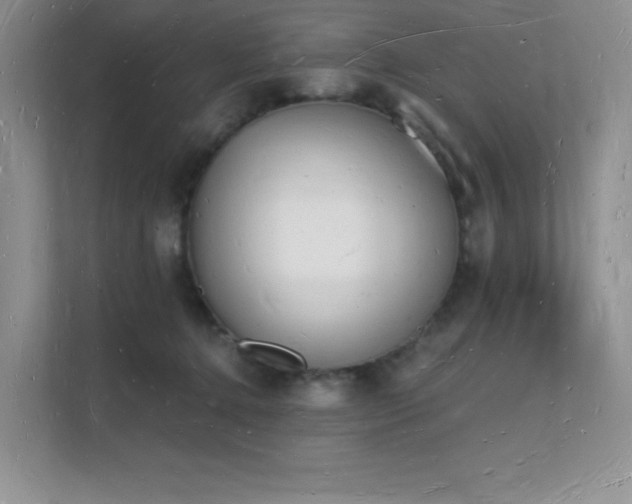 X0000112140368200908071100