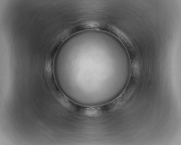 X0000112140373200908071100