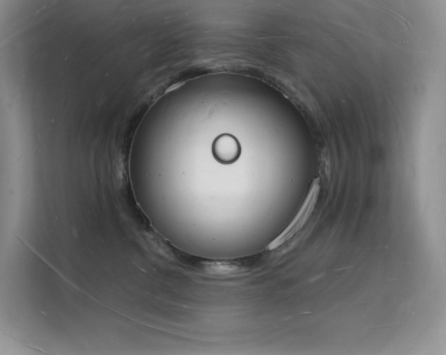 X0000112140380200908071101