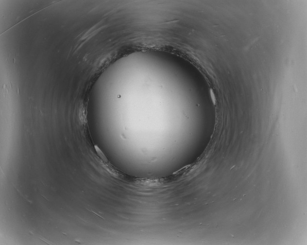 X0000112140384200908071101