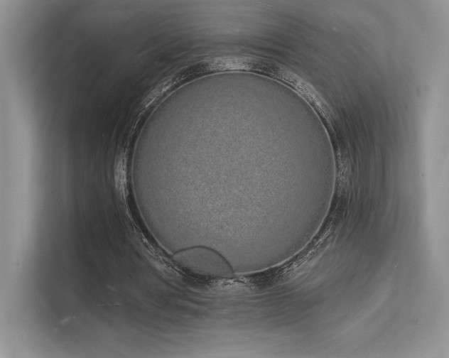 X0000112140386200908071100