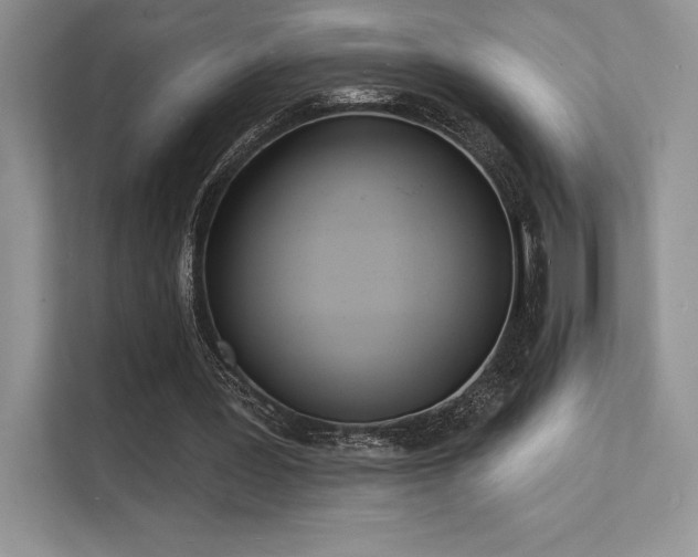 X0000112140387200908071100