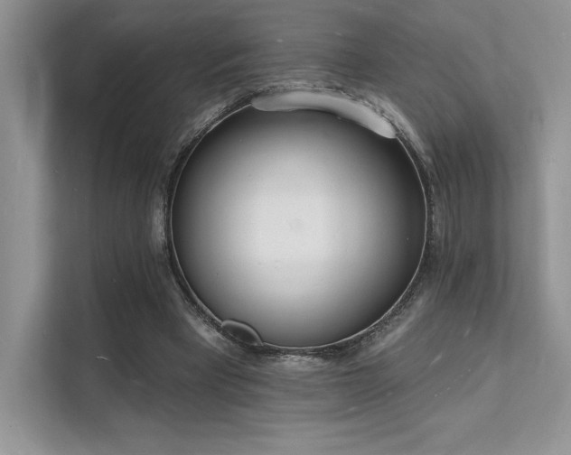 X0000112140393200908071100