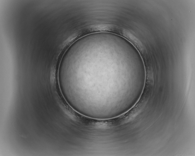 X0000112140394200908071100