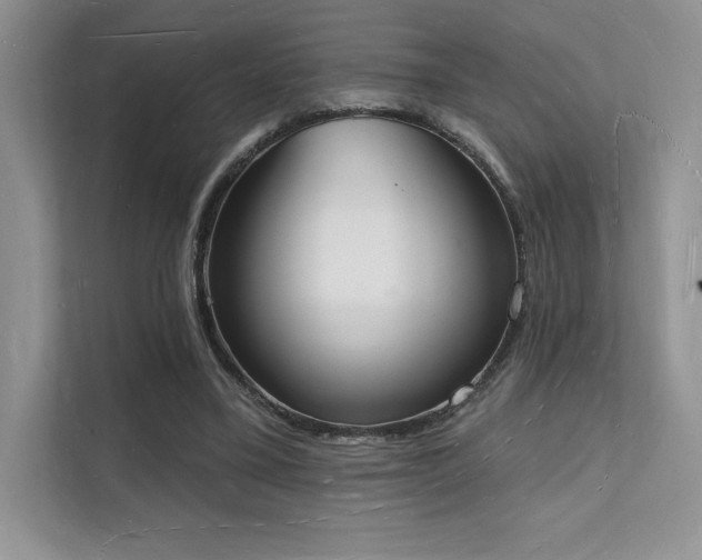 X0000112140395200908071100