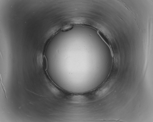 X0000112140397200908071100