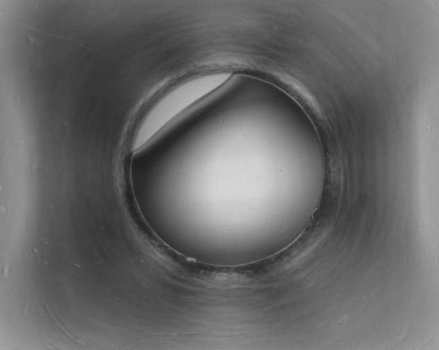X0000112140399200908071100